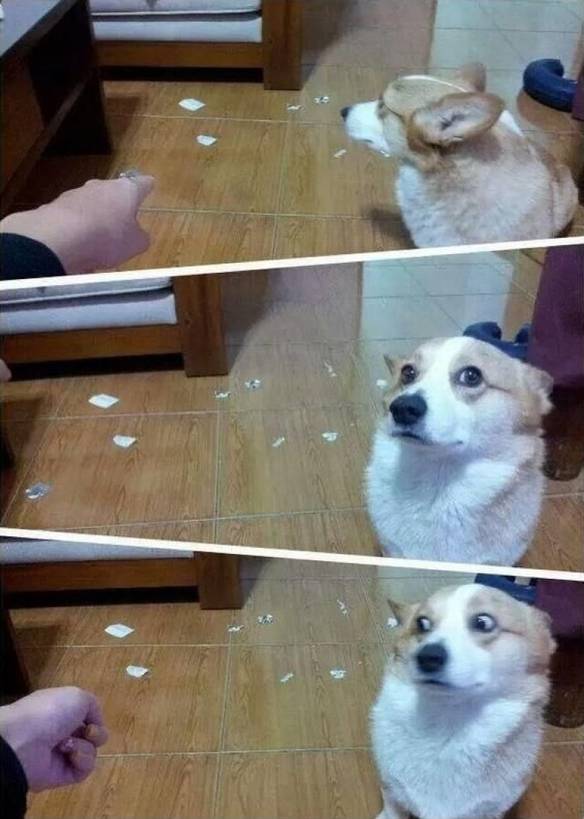 Imagem engraçada Não Faço Ideia de Quem Foi... no iPiadas