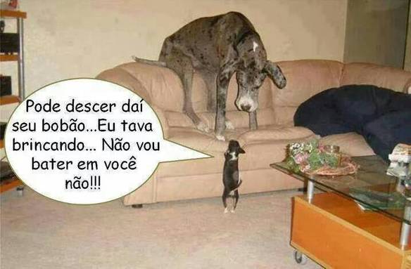 Imagem engraçada Pode Descer... no iPiadas