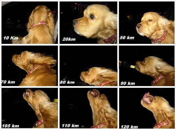 Imagem engraçada Experimentando a Velocidade no iPiadas