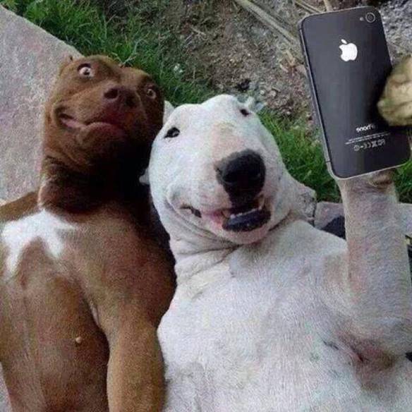 Imagem engraçada Só Uma Selfie no iPiadas