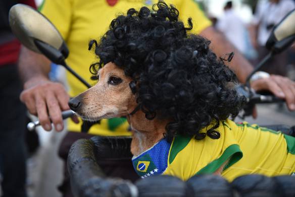 Imagem engraçada Assistindo o Desastre no iPiadas