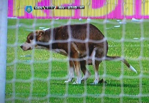 Imagem engraçada Futebol de Merda no iPiadas