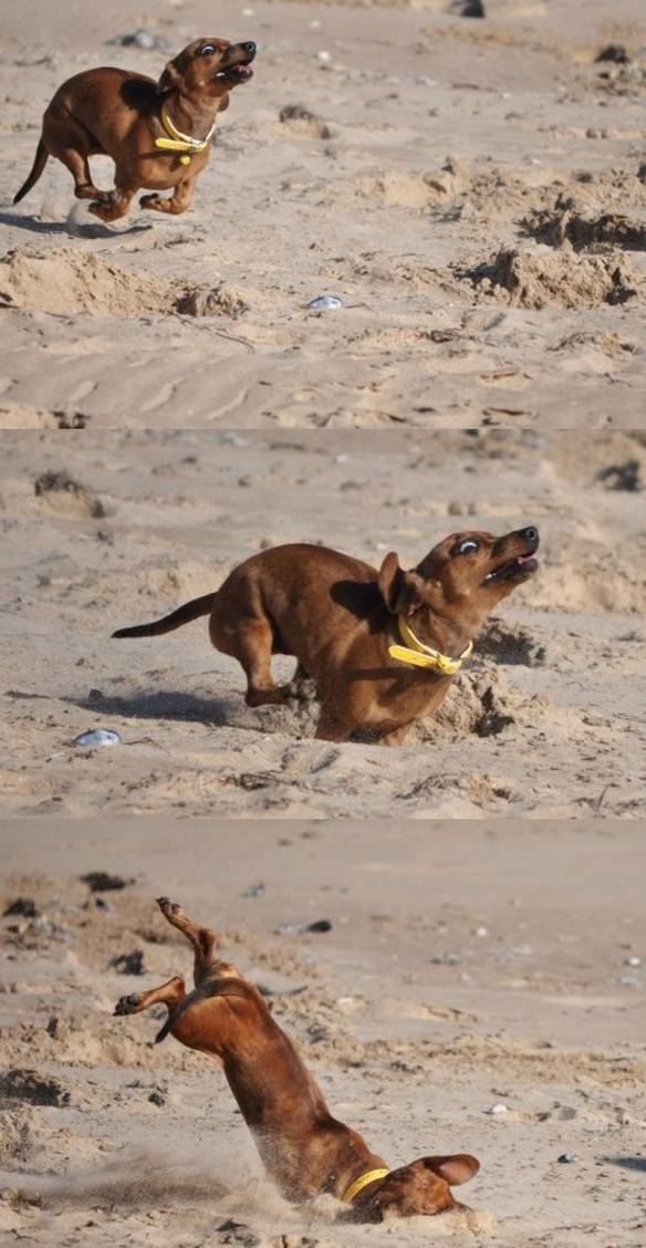 Imagem engraçada Corrida da Glória no iPiadas