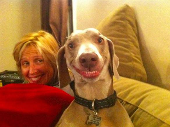 Imagem engraçada Um Cão Alegre no iPiadas