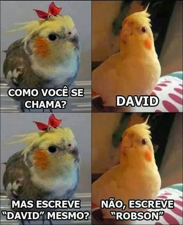 Imagem engraçada Qual Seu Nome? no iPiadas