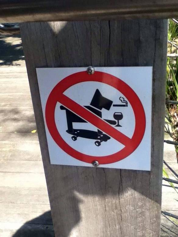Imagem engraçada Proibido Cão que Fuma e Bebe Enquanto Anda de Skate no iPiadas