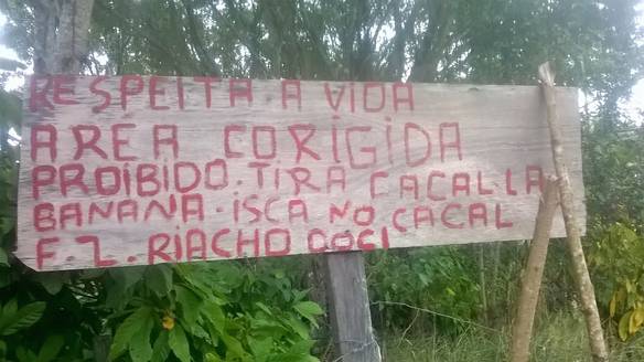 Imagem engraçada Respeita a Vida, Area Corigida no iPiadas