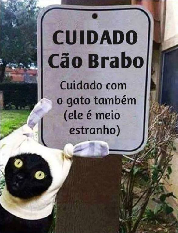 Imagem engraçada Cuidado Com o Cão... E Com o Gato Também! no iPiadas