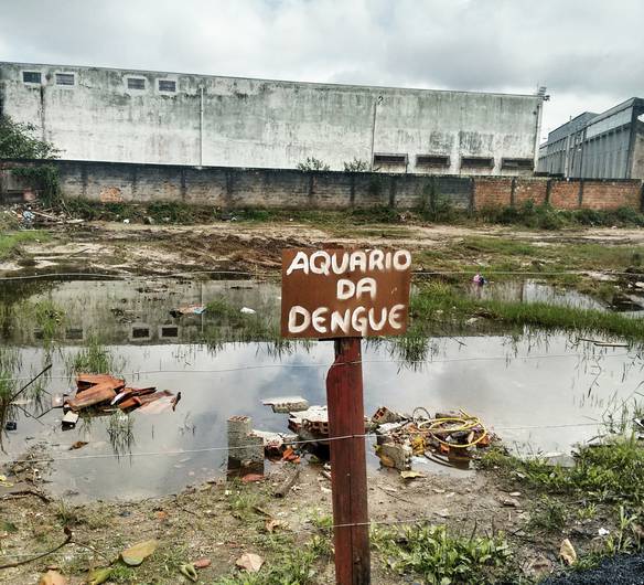 Imagem engraçada Aquário da Dengue no iPiadas