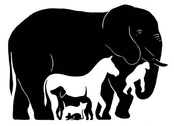 Imagem engraçada Quantos Animais? no iPiadas