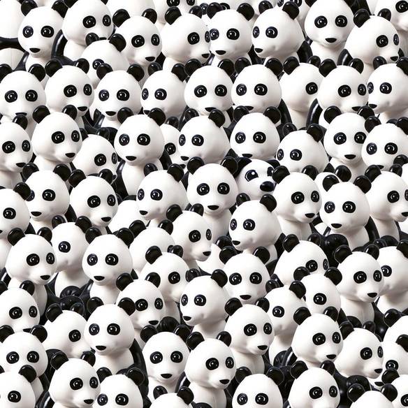 Imagem engraçada Encontre o Cachorro no iPiadas