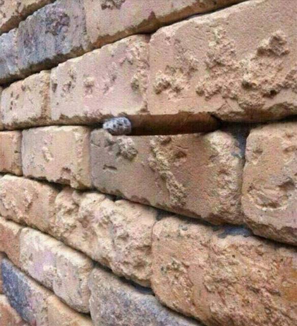 Imagem engraçada Tem Um Charuto Nessa Foto no iPiadas