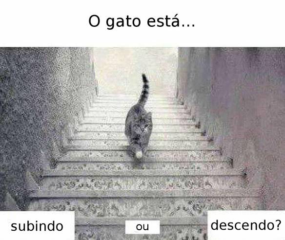 Imagem engraçada O Gato Está Subindo ou Descendo? no iPiadas