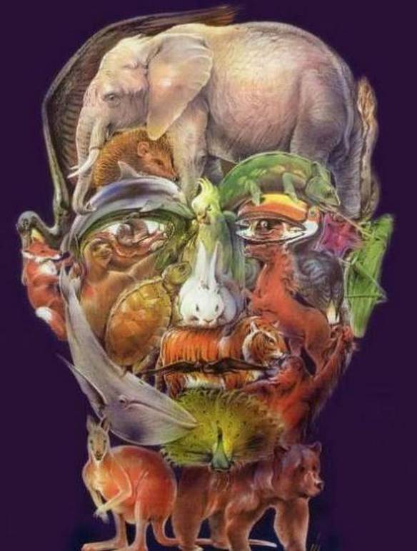 Imagem engraçada Face da Natureza no iPiadas