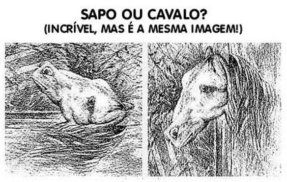 Imagem engraçada Sapo ou Cavalo? no iPiadas