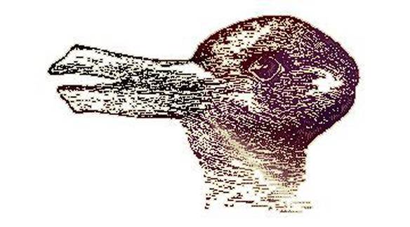 Coelho ou Pato?