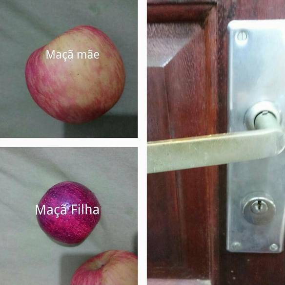 Imagem engraçada Tipos de Maçã no iPiadas