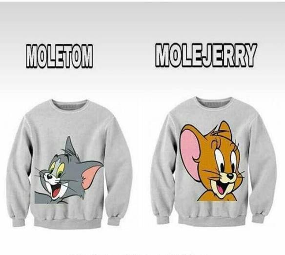Imagem engraçada Moletom e Molejerry
