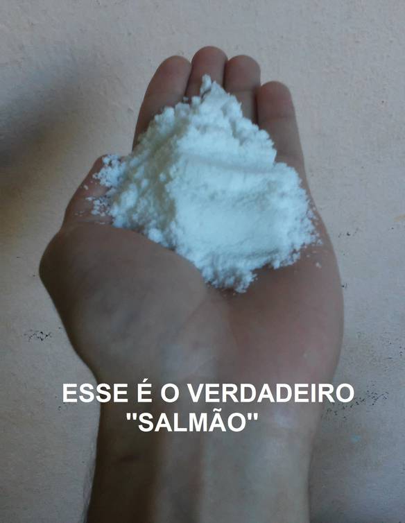 Imagem engraçada Esse É o Verdadeiro Salmão no iPiadas