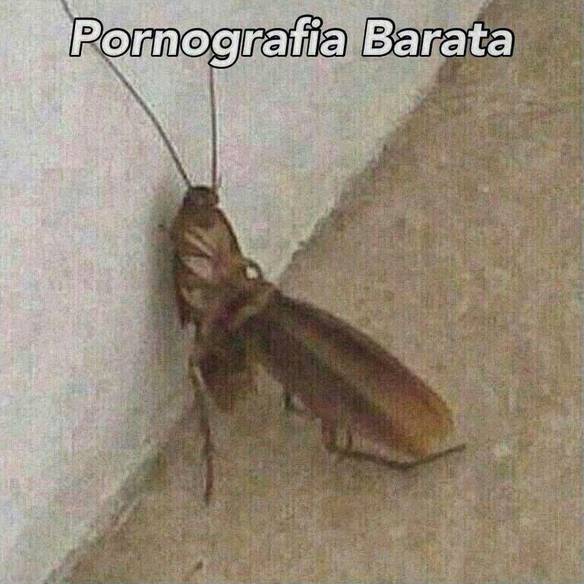 Imagem engraçada É Inadmissível... no iPiadas