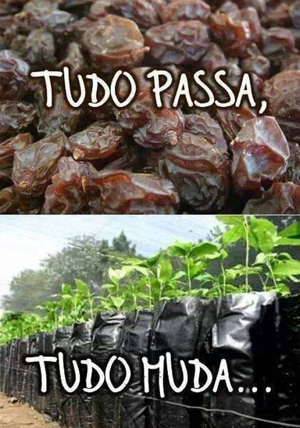 Imagem engraçada Tudo Passa, Tudo Muda... no iPiadas
