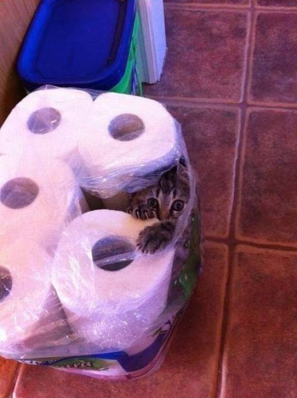 Imagem engraçada Tô de Rolo Com Uma Gata... no iPiadas