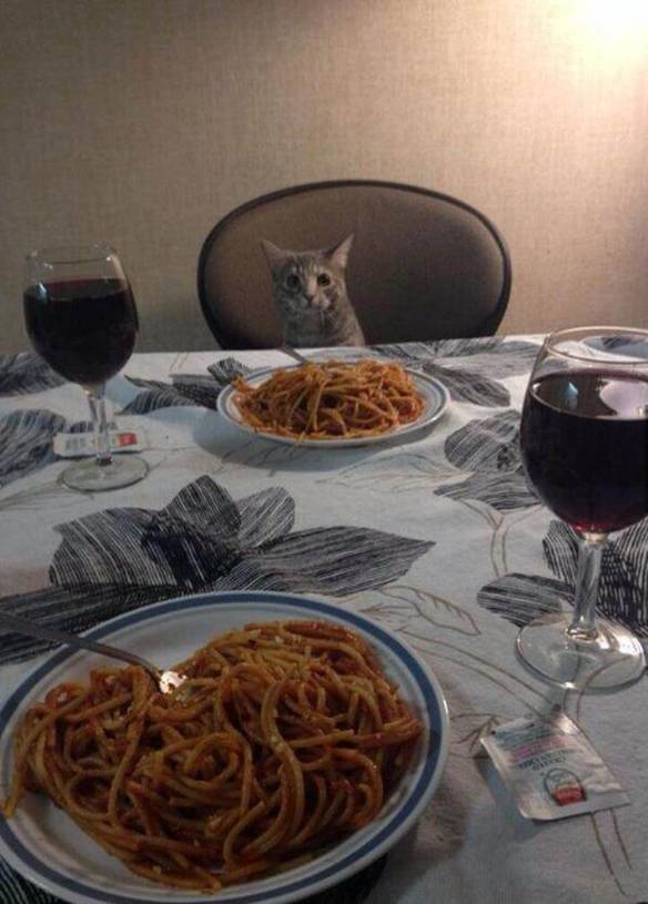 Imagem engraçada Jantando Com a Gata no iPiadas