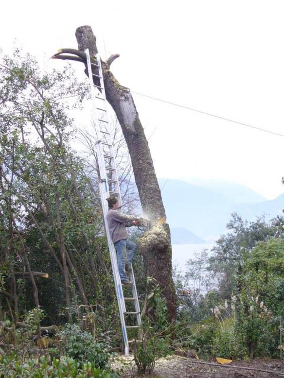 Imagem engraçada Conto ou Deixo Acontecer? no iPiadas