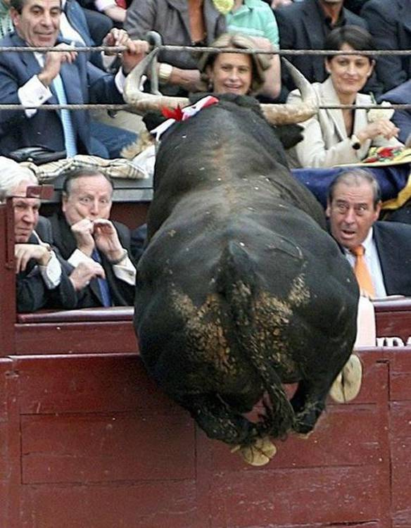 Imagem engraçada Agora o Bicho Vai Pegar no iPiadas