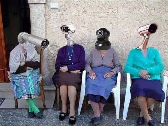 Imagem engraçada Minhas Vizinhas no iPiadas