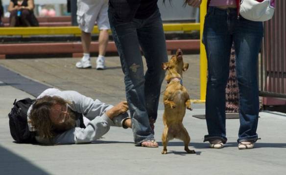 Imagem engraçada Momento Memorável no iPiadas