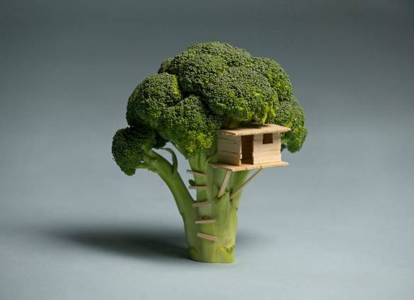 Imagem engraçada Casinha na Arvorezinha no iPiadas
