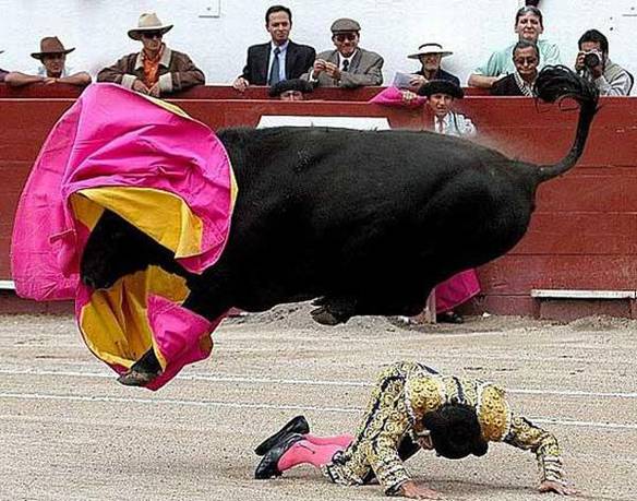 Imagem engraçada Oléééééé Touro no iPiadas