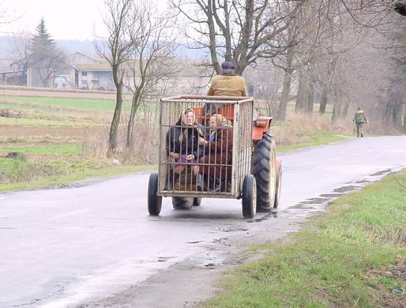 Imagem engraçada Veículo Para Transportar Sogras no iPiadas
