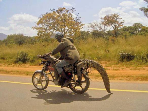 Imagem engraçada Moto da Lacoste no iPiadas