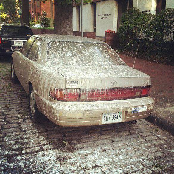 Imagem engraçada Lave-me no iPiadas