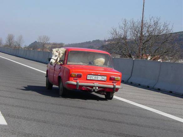 Imagem engraçada Verdadeira Ferrari no iPiadas