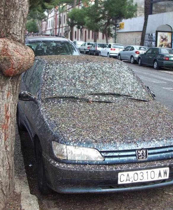 Imagem engraçada Um Pouco Sujo no iPiadas