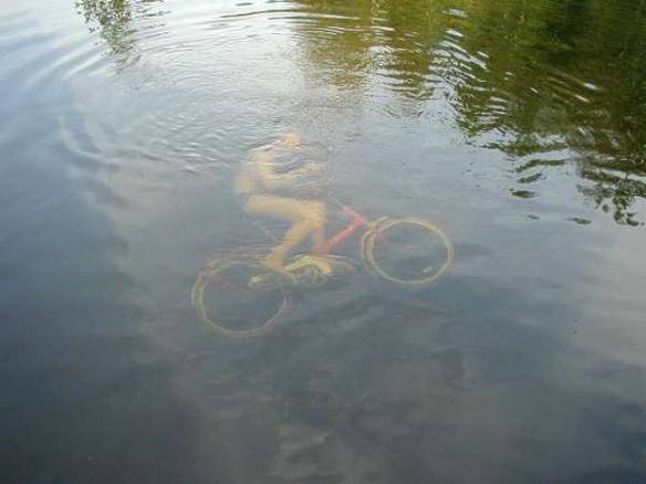 Imagem engraçada Pedalada Aquática no iPiadas
