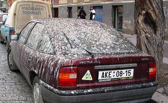 Imagem engraçada Perfeitamente higienizado no iPiadas