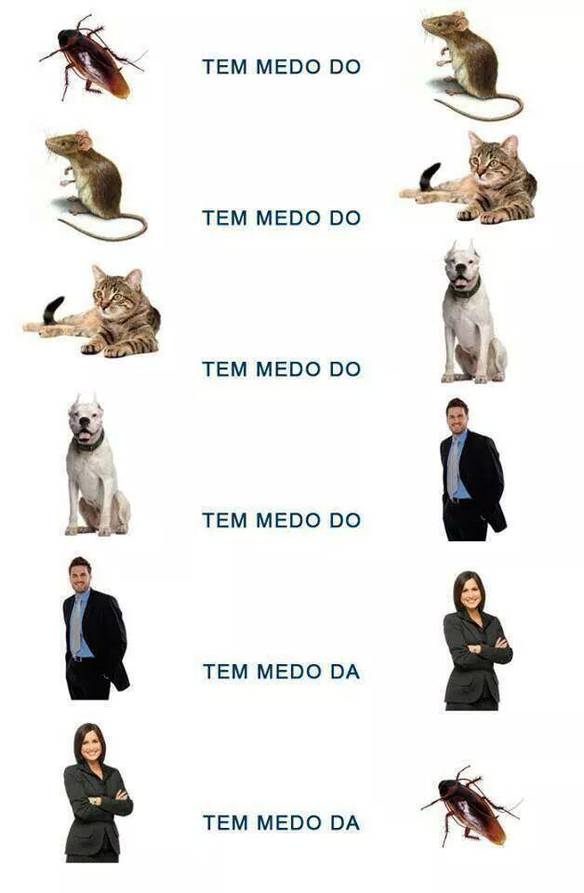 Imagem engraçada Ciclo do Medo no iPiadas