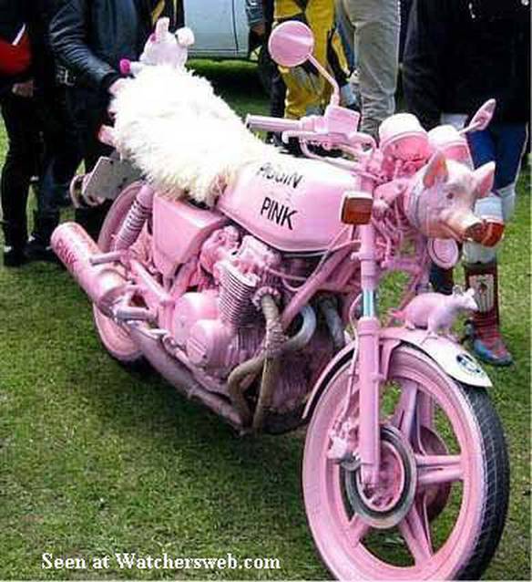 Porquinha Rosa