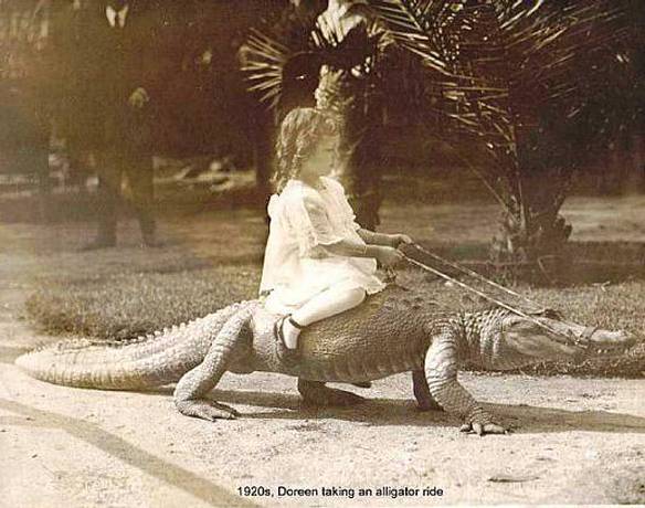 Imagem engraçada Passeio no Jacaré no iPiadas