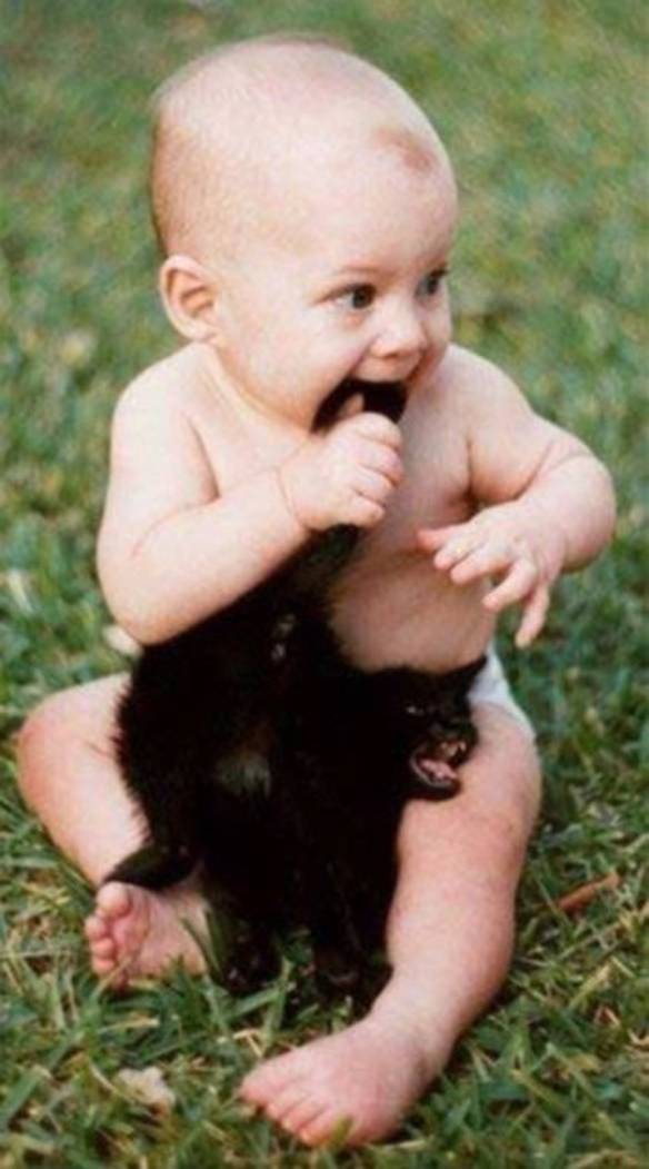 Imagem engraçada Gato Insatisfeito no iPiadas