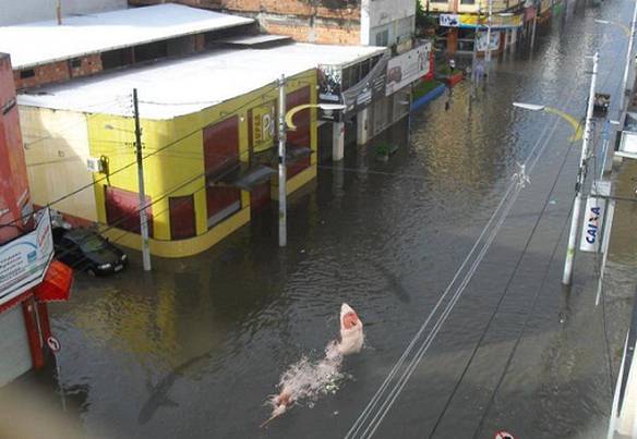 Imagem engraçada Muita Atenção nas Enchentes no iPiadas