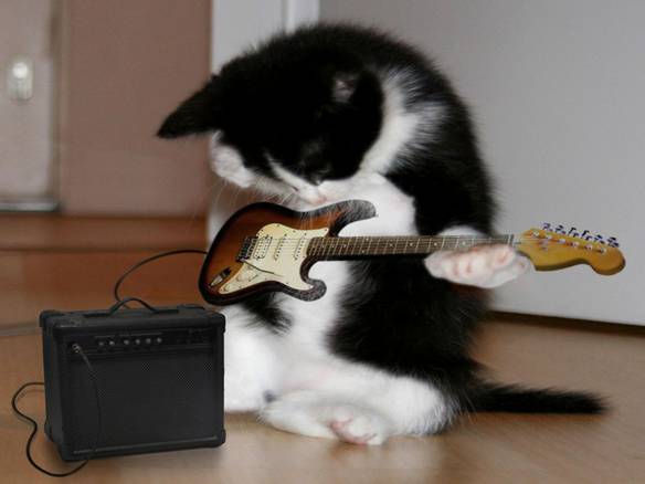 Imagem engraçada Testando a Guitarra no iPiadas