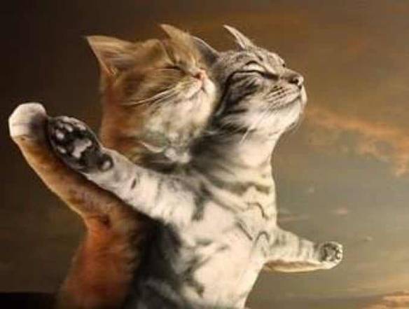 Imagem engraçada Novo Titanic no iPiadas