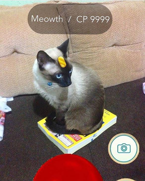 Imagem engraçada Encontrei no Pokémon Go no iPiadas