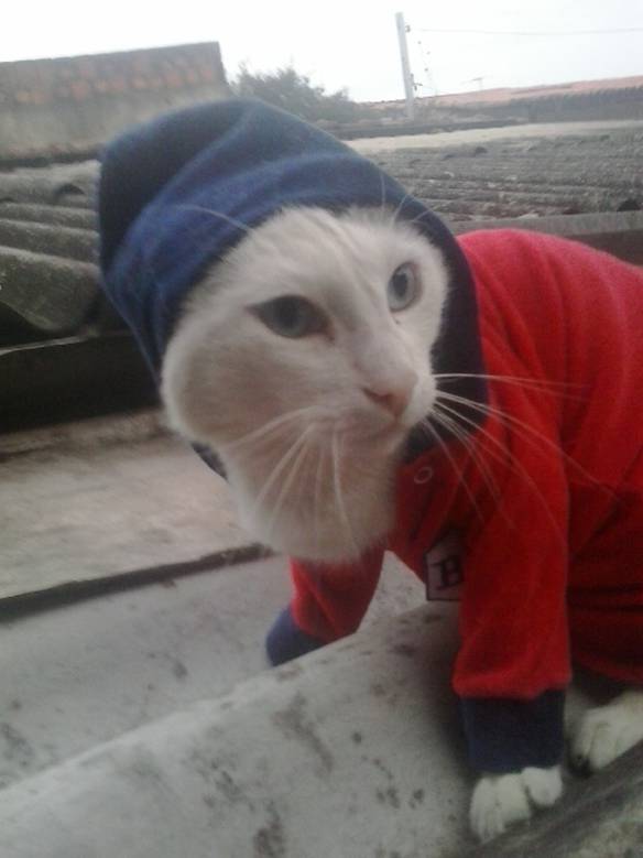 Imagem engraçada Só Assim Pra Sair Nesse Frio no iPiadas