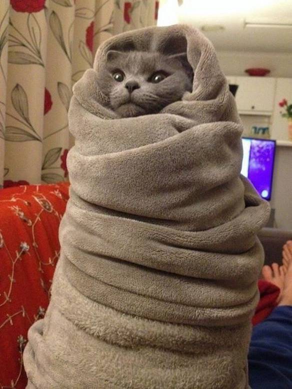 Imagem engraçada Nem Estou Com Frio no iPiadas